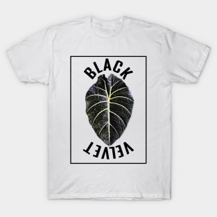 Alocasia Black Velvet T-Shirt